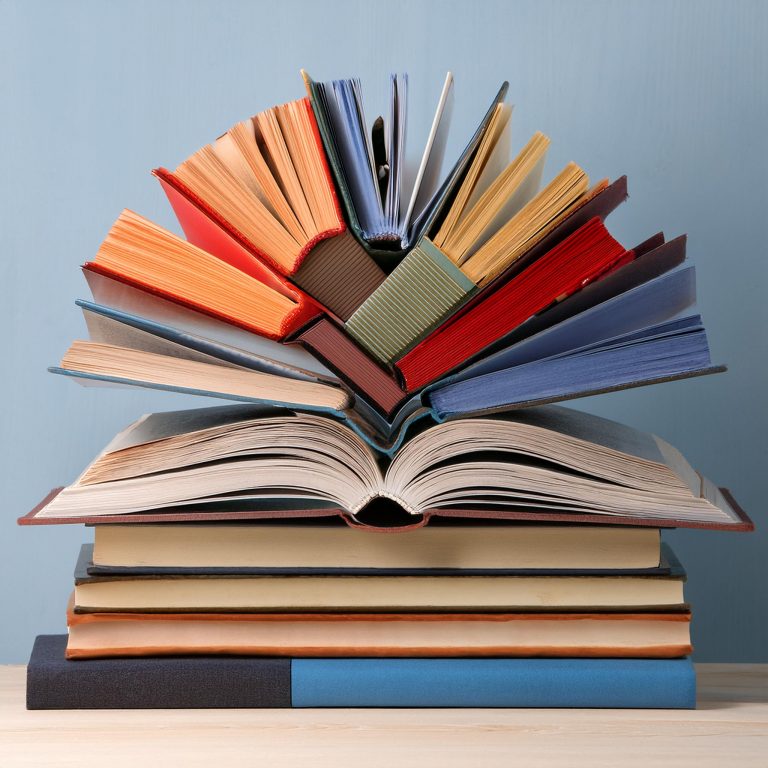 10 Remarkable Picture Books of 2024